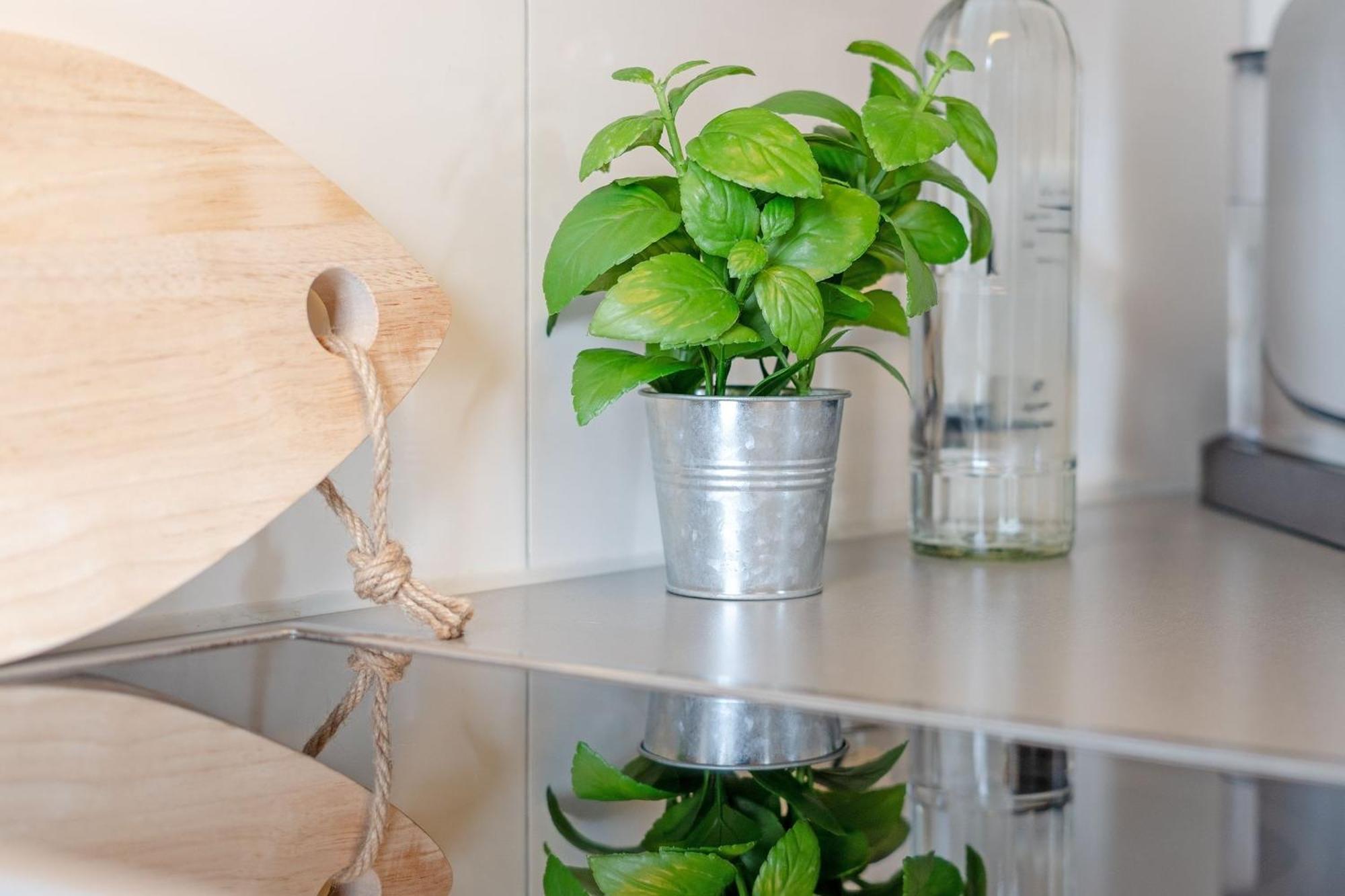 Seepark Suedblick 沙博伊茨 外观 照片